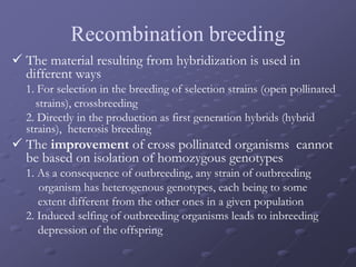 Recombination breeding
 The material resulting from hybridization is used in
different ways
1. For selection in the breeding of selection strains (open pollinated
strains), crossbreeding
2. Directly in the production as first generation hybrids (hybrid
strains), heterosis breeding
 The improvement of cross pollinated organisms cannot
be based on isolation of homozygous genotypes
1. As a consequence of outbreeding, any strain of outbreeding
organism has heterogenous genotypes, each being to some
extent different from the other ones in a given population
2. Induced selfing of outbreeding organisms leads to inbreeding
depression of the offspring
 
