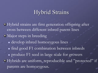 Hybrid Strains
Hybrid strains are first generation offspring after
cross between different inbred parent lines
Major steps in breeding
 develop inbred homozygous lines
 find good F1 combination between inbreds
 produce F1 seed in large scale for growers
Hybrids are uniform, reproducible and ”protected” if
parents are homozygous.
 