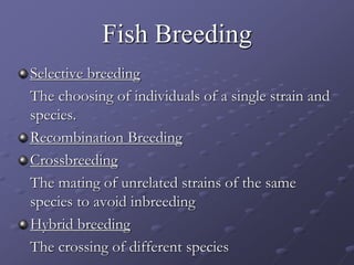 Fish Breeding
Selective breeding
The choosing of individuals of a single strain and
species.
Recombination Breeding
Crossbreeding
The mating of unrelated strains of the same
species to avoid inbreeding
Hybrid breeding
The crossing of different species
 