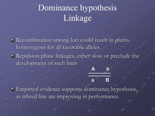 Dominance hypothesis
Linkage
Recombination among loci could result in plants
homozygous for all favorable alleles
Repulsion phase linkages, either slow or preclude the
development of such lines
Empirical evidence supports dominance hypothesis,
as inbred line are improving in performance.
A b
a B
 