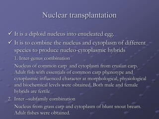 Nuclear transplantation
 It is a diploid nucleus into enucleated egg.
 It is to combine the nucleus and cytoplasm of different
species to produce nucleo-cytoplasmic hybrids
1. Inter-genus combination
Nucleus of common carp and cytoplasm from crusian carp.
Adult fish with essentials of common carp phenotype and
cytoplasmic influenced character at morphological, physiological
and biochemical levels were obtained. Both male and female
hybrids are fertile
2. Inter –subfamily combination
Nucleus from grass carp and cytoplasm of blunt snout bream.
Adult fishes were obtained.
 