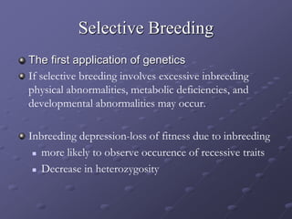 Selective Breeding
The first application of genetics
If selective breeding involves excessive inbreeding
physical abnormalities, metabolic deficiencies, and
developmental abnormalities may occur.
Inbreeding depression-loss of fitness due to inbreeding
 more likely to observe occurence of recessive traits
 Decrease in heterozygosity
 