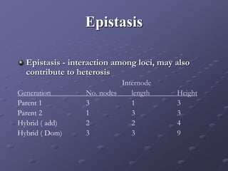 Epistasis
Epistasis - interaction among loci, may also
contribute to heterosis
Internode
Generation No. nodes length Height
Parent 1 3 1 3
Parent 2 1 3 3
Hybrid ( add) 2 2 4
Hybrid ( Dom) 3 3 9
 