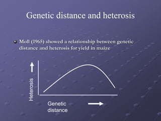 Genetic distance and heterosis
Moll (1965) showed a relationship between genetic
distance and heterosis for yield in maize
Heterosis
Genetic
distance
 