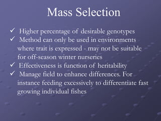 Mass Selection
 Higher percentage of desirable genotypes
 Method can only be used in environments
where trait is expressed - may not be suitable
for off-season winter nurseries
 Effectiveness is function of heritability
 Manage field to enhance differences. For
instance feeding excessively to differentiate fast
growing individual fishes
 