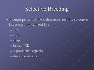 Selective Breeding
Although potential for deleterious results, selective
breeding rationalized by:
 size
 color
 shape
 better FCR
 reproductive capacity
 disease resistance
 