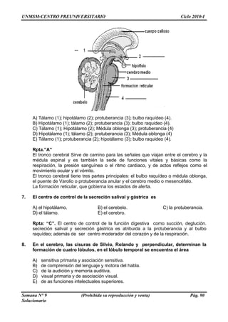 UNMSM-CENTRO PREUNIVERSITARIO Ciclo 2010-I
A) Tálamo (1); hipotálamo (2); protuberancia (3); bulbo raquídeo (4).
B) Hipotálamo (1); tálamo (2); protuberancia (3); bulbo raquideo (4).
C) Tálamo (1); Hipotálamo (2); Médula oblonga (3); protuberancia (4)
D) Hipotálamo (1); tálamo (2); protuberancia (3); Médula oblonga (4)
E) Tálamo (1); protuberancia (2); hipotálamo (3); bulbo raquideo (4).
pta.”A”
el cerebro y la
ásicas como la
flejos como el
édula oblonga,
el puente de Varolio o protuberancia anular y el cerebro medio o mesencéfalo.
ón reticular, que gobierna los estados de alerta.
7.
B) el cerebelo. C) la protuberancia.
omo succión, deglución.
secreción salival y secreción gástrica es atribuida a la protuberancia y al bulbo
la respiración.
. s cisuras de Silvio, Rolando y perpendicular, determinan la
poral se encuentra el área
D) visual primaria y de asociación visual.
E) de as funciones intelectuales superiores.
R
El tronco cerebral Sirve de camino para las señales que viajan entre
médula espinal y es también la sede de funciones vitales y b
respiración, la presión sanguínea o el ritmo cardiaco, y de actos re
movimiento ocular y el vómito.
El tronco cerebral tiene tres partes principales: el bulbo raquídeo o m
La formaci
El centro de control de la secreción salival y gástrica es
A) el hipotálamo.
D) el tálamo. E) el cerebro.
Rpta: “C”. El centro de control de la función digestiva c
raquídeo; además de ser centro moderador del corazón y de
8 En el cerebro, la
formación de cuatro lóbulos, en el lóbulo tem
A) sensitiva primaria y asociación sensitiva.
B) de comprensión del lenguaje y motora del habla.
C) de la audición y memoria auditiva.
Semana N° 9 (Prohibida su reproducción y venta) Pág. 90
Solucionario
 