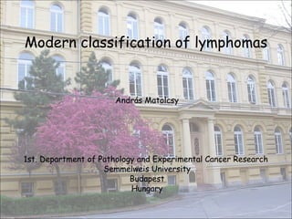 Modern classification of lymphomas András Matolcsy 1st. Department of Pathology and Experimental Cancer Research  Semmelweis University Budapest Hungary 