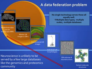 Neuroscience is unlikely to be
served by a few large databases
like the genomics and proteomics
community
Whole brain data
(20 um
microscopic MRI)
Mosiac LM
images (1 GB+)
Conventional LM
images
Individual cell
morphologies
EM volumes &
reconstructions
Solved molecular
structures
No single technology serves these all
equally well.
Multiple data types; multiple
scales; multiple databases
A data federation problem
 