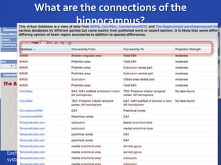 What are the connections of the
hippocampus?
Connects to
Synapsed with
Synapsed by
Input region
innervates
Axon innervates
Projects toCellular contact
Subcellular contact
Source site
Target site
Each resource implements a different, though related model;
systems are complex and difficult to learn, in many cases
 
