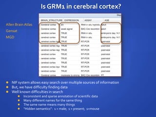 Is GRM1 in cerebral cortex?
 NIF system allows easy search over multiple sources of information
 But, we have difficulty finding data
 Well known difficulties in search
 Inconsistent and sparse annotation of scientific data
 Many different names for the same thing
 The same name means many things
 “Hidden semantics”: 1 = male; 1 = present; 1=mouse
Allen Brain Atlas
MGD
Gensat
 