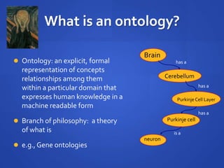 What is an ontology?
Brain
Cerebellum
Purkinje Cell Layer
Purkinje cell
neuron
has a
has a
has a
is a
 Ontology: an explicit, formal
representation of concepts
relationships among them
within a particular domain that
expresses human knowledge in a
machine readable form
 Branch of philosophy: a theory
of what is
 e.g., Gene ontologies
 