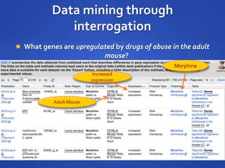 Data mining through
interrogation
 What genes are upregulated by drugs of abuse in the adult
mouse?
Morphine
Increased
expression
Adult Mouse
 