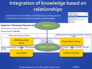 Integration of knowledge based on
relationships
Looking for commonalities and distinctions among animal
models and human conditions based on phenotypes
Sarah Maynard, Chris Mungall, Suzie Lewis NINDS
Thalamus
Cellular inclusion
Midline nuclear
group
Lewy Body
Paracentral nucleus
Cellular inclusion
 