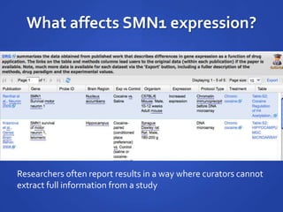 What affects SMN1 expression?
Researchers often report results in a way where curators cannot
extract full information from a study
 