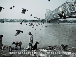 恒河　　 攝 影： April Maciborka 　　 雖 然恒河被 認為 是全世界最 髒 的河之一，但人 們還 是相信河水能治 癒 疾病、净化 靈 魂。 