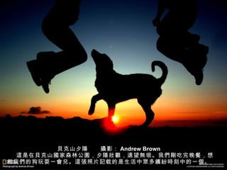 貝 克山夕 陽 　　 攝 影： Andrew Brown 　　 這 是在 貝 克山 國 家森林公 園 ，夕 陽壯觀 ， 遠 望 無 垠。我 們剛 吃完晚餐，想和我 們 的狗玩耍一 會兒 。 這張 照片 記 载的是生活中 眾 多 繽紛時 刻中的一 個 。 