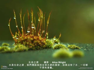 生命之源　　 攝 影： Alice Wright 　水是生命之源，我 們應該 保持全球水源的 潔淨 ，如果没有了水，一切都不再有意 義 。 