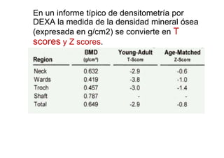 Calculo del z score
Z = (DMO – DMO esperada) / DS
DMO DE
DMO= densidad mineral ósea media
de la población de la misma edad...
