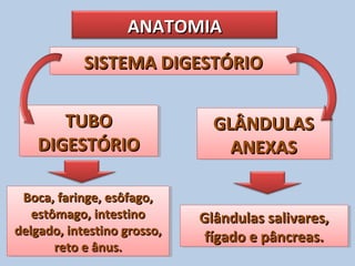 ANATOMIAANATOMIA
SISTEMA DIGESTÓRIOSISTEMA DIGESTÓRIOSISTEMA DIGESTÓRIOSISTEMA DIGESTÓRIO
TUBOTUBO
DIGESTÓRIODIGESTÓRIO
TUBOTUBO
DIGESTÓRIODIGESTÓRIO
GLÂNDULASGLÂNDULAS
ANEXASANEXAS
GLÂNDULASGLÂNDULAS
ANEXASANEXAS
Boca, faringe, esôfago,Boca, faringe, esôfago,
estômago, intestinoestômago, intestino
delgado, intestino grosso,delgado, intestino grosso,
reto e ânus.reto e ânus.
Boca, faringe, esôfago,Boca, faringe, esôfago,
estômago, intestinoestômago, intestino
delgado, intestino grosso,delgado, intestino grosso,
reto e ânus.reto e ânus.
Glândulas salivares,Glândulas salivares,
fígado e pâncreas.fígado e pâncreas.
Glândulas salivares,Glândulas salivares,
fígado e pâncreas.fígado e pâncreas.
 