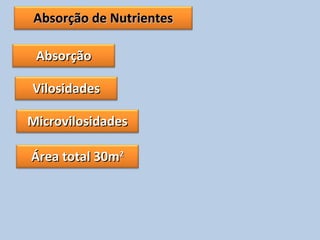 Absorção de NutrientesAbsorção de Nutrientes
AbsorçãoAbsorção
VilosidadesVilosidades
MicrovilosidadesMicrovilosidades
Área total 30mÁrea total 30m22
 