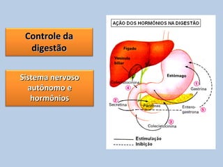 Controle daControle da
digestãodigestão
Sistema nervosoSistema nervoso
autônomo eautônomo e
hormônioshormônios
 