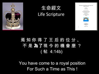 生命經文 Life Scripture   焉 知 你 得 了 王 后 的 位 分 、  不 是  為了 現 今 的 機 會 麼  ? ( 帖  4:14b) You have come to a royal position For S uch a Time as This ! 