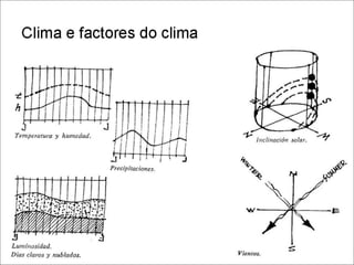 2010 ucv-tema 4a - O Sítio