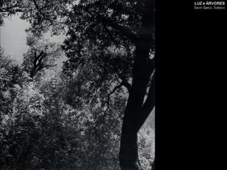 2010 ucv-tema 4-B - O Lugar