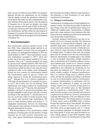 Review and prospect of transgenic rice research | PDF