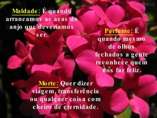 Maldade:   É quando arrancamos as asas do anjo que deveríamos ser. Morte:   Quer dizer viagem, transferência ou qualquer coisa com cheiro de eternidade. Perfume:   É quando mesmo de olhos fechados a gente reconhece quem nos faz feliz. 