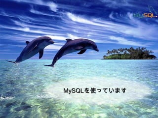 MySQLを使っています