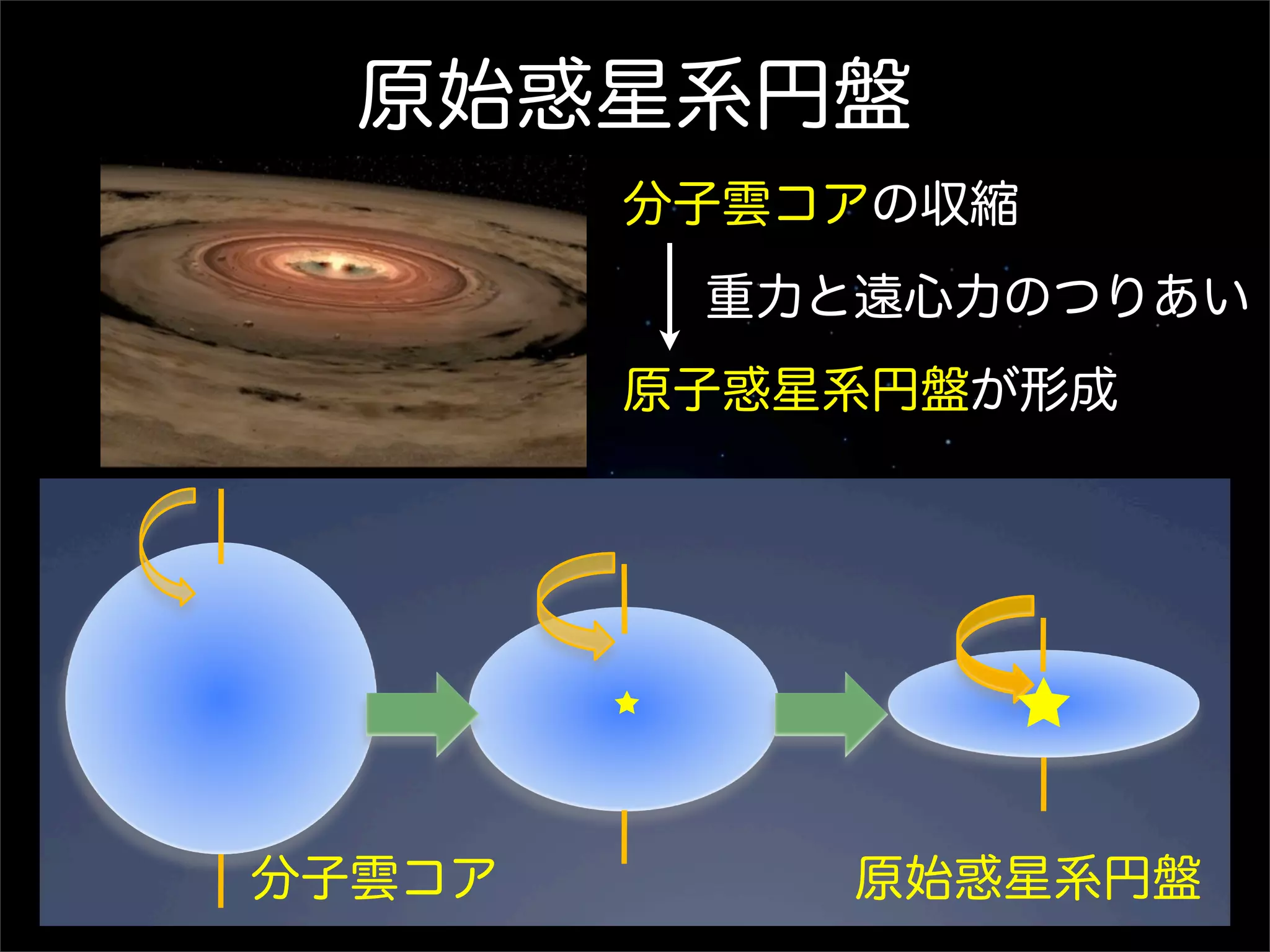 原始惑星系円盤
   なぜ円盤状になるか？
             分子雲コアの収縮
!  分子雲が収縮すると、「角運動量保存の原
   理」に従い、収縮するほど回転が速くなる
               重力と遠心力のつりあい
            原子惑星系円盤が形成
!  回転の効果が効いて、平たい円盤状の構造
 になる




  分子雲コア         原始惑星系円盤
 