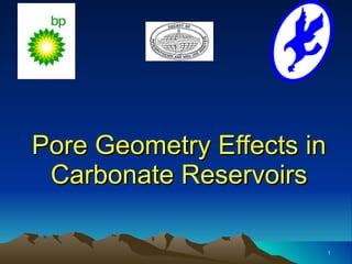 Pore Geometry Effects in Carbonate Reservoirs 