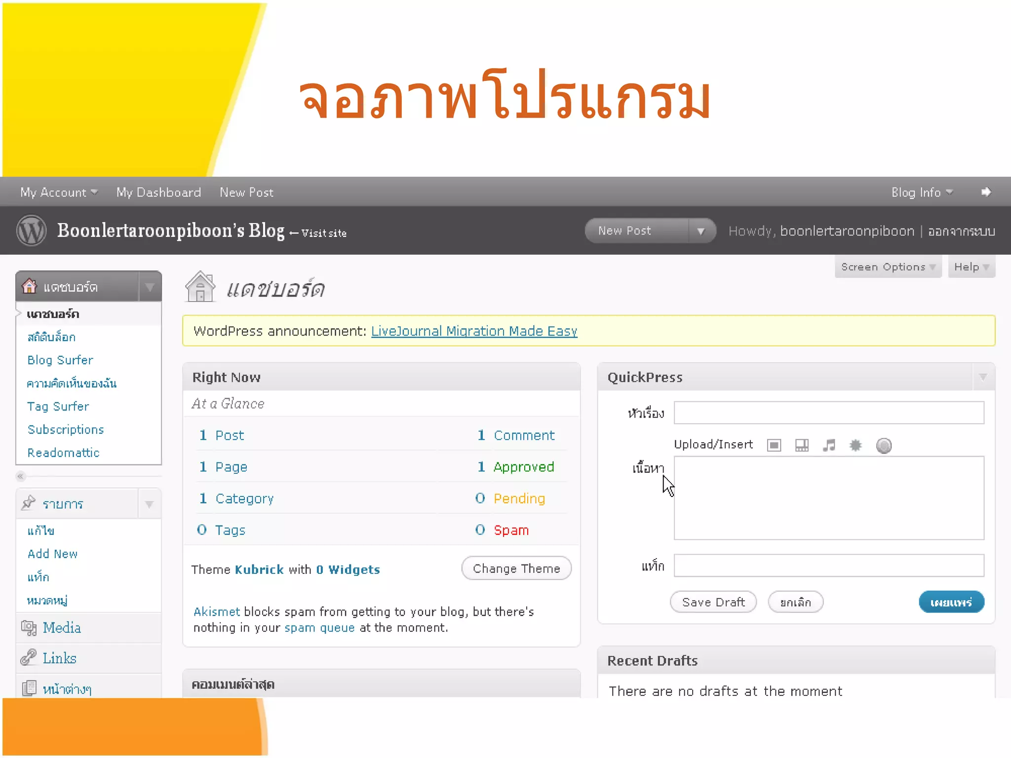 จอภาพโปรแกรม 