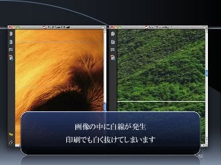 画像の中に白線が発生
印刷でも白く抜けてしまいます
52
 