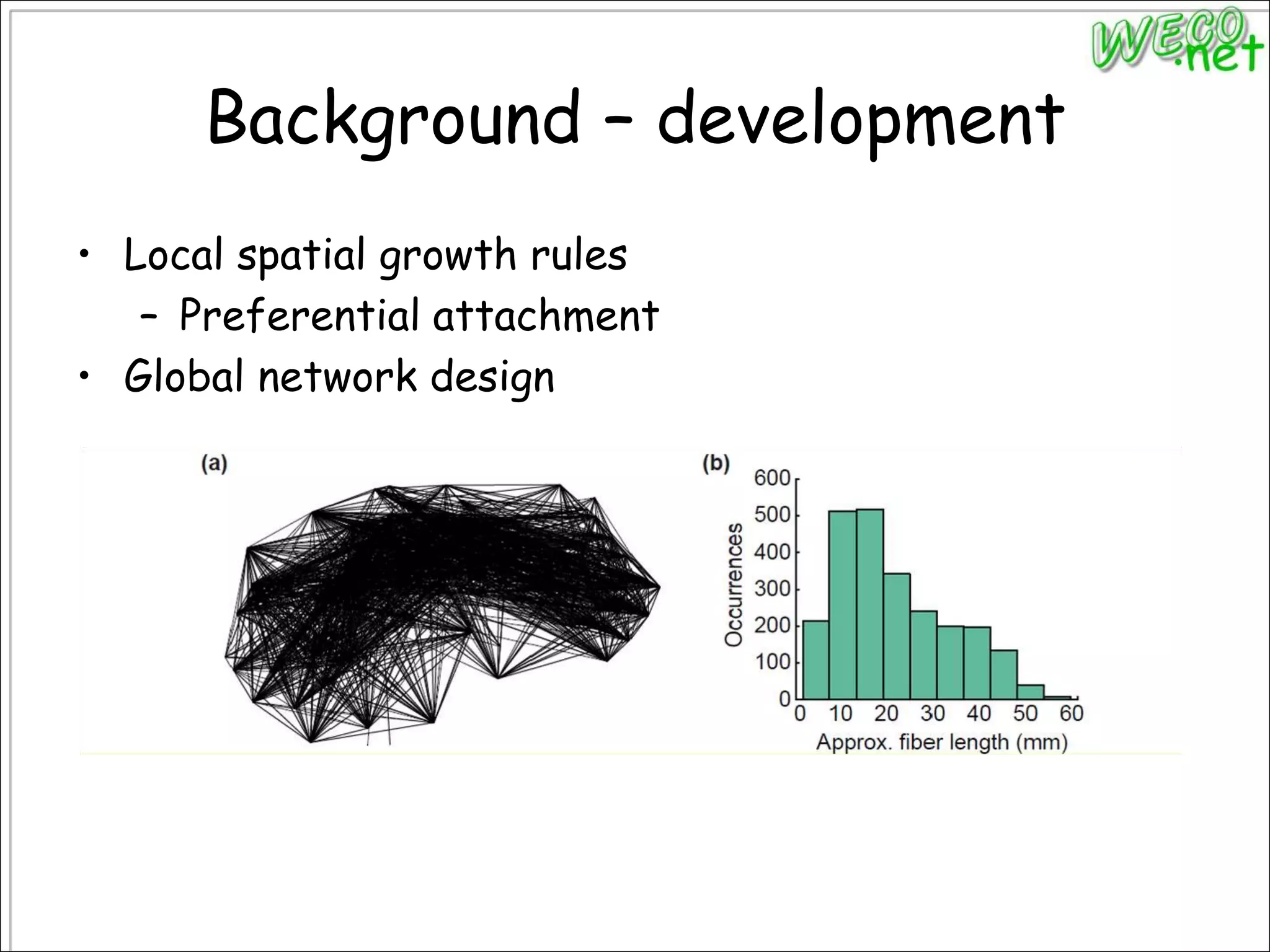 Background – developmentLocal spatial growth rulesPreferential attachmentGlobal network design