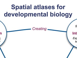 Spatial atlases for
    developmental biology
                              D
                             Sp
            Creating
n                           Inte
&                           Exp
l                            kn
                               c
 