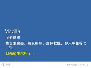 Mozilla Foundation (2003) 