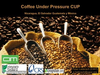 Coffee Under Pressure CUP Nicaragua, El Salvador Guatemala y México Peter Laderach (CIAT) [email_address] 