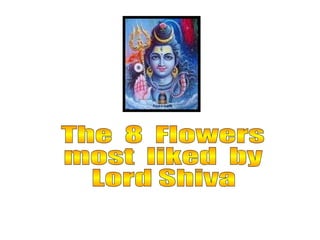 The  8  Flowers most  liked  by Lord Shiva 