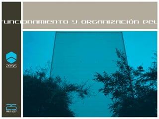 Funcionamiento y organización del equipo 