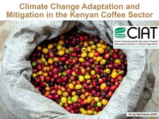 Climate Change Adaptation and Mitigation in the Kenyan Coffee Sector 