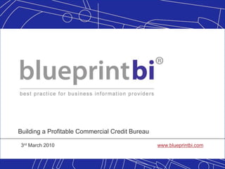 Building a Profitable Commercial Credit Bureau 3rd March 2010   					 www.blueprintbi.com 