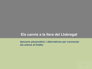 Els canvis a la llera del Llobregat descens piezomètric i alternatives per connectar els arbres al freàtic 