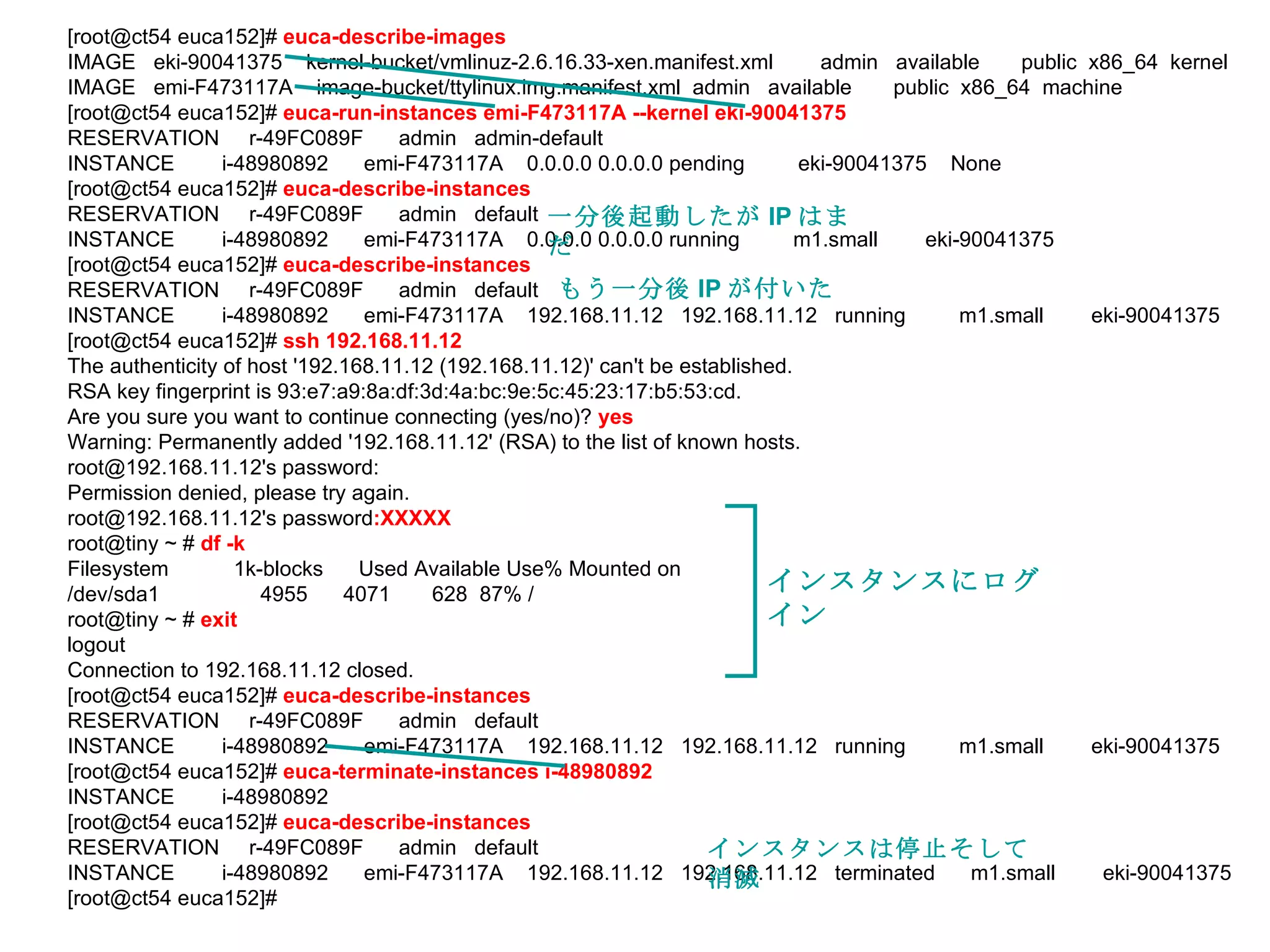 [root@ct54 euca152]#  euca-describe-images IMAGE  eki-90041375  kernel-bucket/vmlinuz-2.6.16.33-xen.manifest.xml  admin  available  public  x86_64  kernel IMAGE  emi-F473117A  image-bucket/ttylinux.img.manifest.xml  admin  available  public  x86_64  machine [root@ct54 euca152]#  euca-run-instances emi-F473117A --kernel eki-90041375 RESERVATION  r-49FC089F  admin  admin-default INSTANCE  i-48980892  emi-F473117A  0.0.0.0 0.0.0.0 pending  eki-90041375  None [root@ct54 euca152]#  euca-describe-instances RESERVATION  r-49FC089F  admin  default INSTANCE  i-48980892  emi-F473117A  0.0.0.0 0.0.0.0 running  m1.small  eki-90041375 [root@ct54 euca152]#  euca-describe-instances RESERVATION  r-49FC089F  admin  default INSTANCE  i-48980892  emi-F473117A  192.168.11.12  192.168.11.12  running  m1.small  eki-90041375 [root@ct54 euca152]#  ssh 192.168.11.12 The authenticity of host '192.168.11.12 (192.168.11.12)' can't be established. RSA key fingerprint is 93:e7:a9:8a:df:3d:4a:bc:9e:5c:45:23:17:b5:53:cd. Are you sure you want to continue connecting (yes/no)?  yes Warning: Permanently added '192.168.11.12' (RSA) to the list of known hosts. root@192.168.11.12's password:  Permission denied, please try again. root@192.168.11.12's password :XXXXX   root@tiny ~ #  df -k Filesystem  1k-blocks  Used Available Use% Mounted on /dev/sda1  4955  4071  628  87% / root@tiny ~ #  exit   logout Connection to 192.168.11.12 closed. [root@ct54 euca152]#  euca-describe-instances RESERVATION  r-49FC089F  admin  default INSTANCE  i-48980892  emi-F473117A  192.168.11.12  192.168.11.12  running  m1.small  eki-90041375 [root@ct54 euca152]#  euca-terminate-instances i-48980892 INSTANCE  i-48980892 [root@ct54 euca152]#  euca-describe-instances RESERVATION  r-49FC089F  admin  default INSTANCE  i-48980892  emi-F473117A  192.168.11.12  192.168.11.12  terminated  m1.small  eki-90041375 [root@ct54 euca152]#  一分後起動したが IP はまだ もう一分後 IP が付いた インスタンスにログイン インスタンスは停止そして消滅 