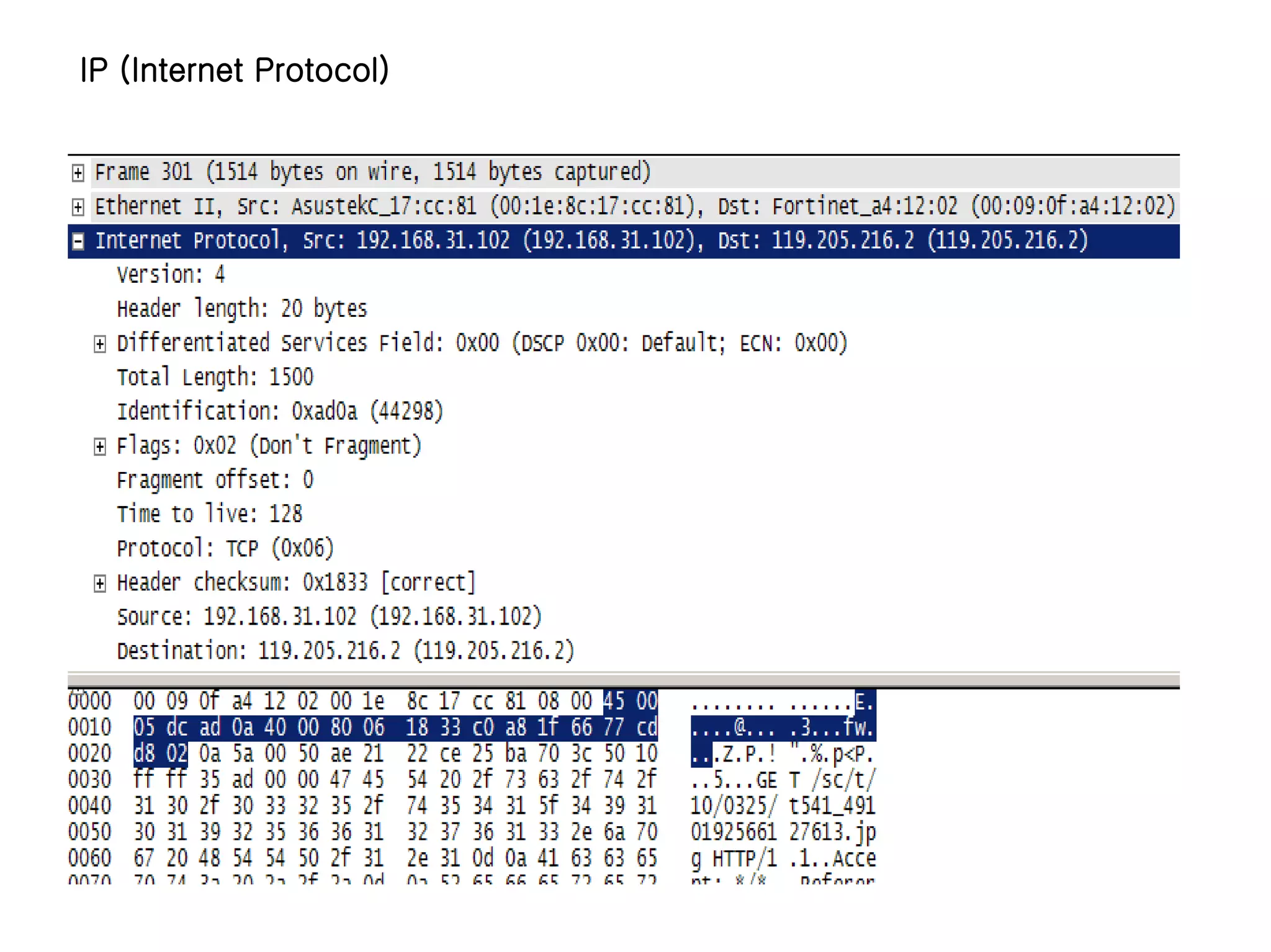 IP (Internet Protocol)
 