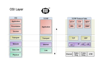 OSI Layer
 