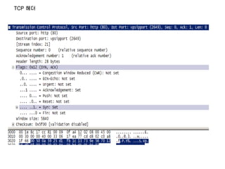 TCP 헤더
 
