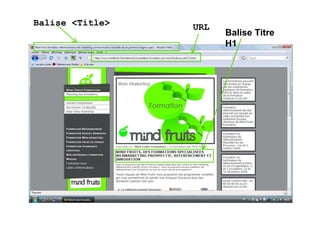 Balise <Title>   URL
                       Balise Titre
                       H1
 
